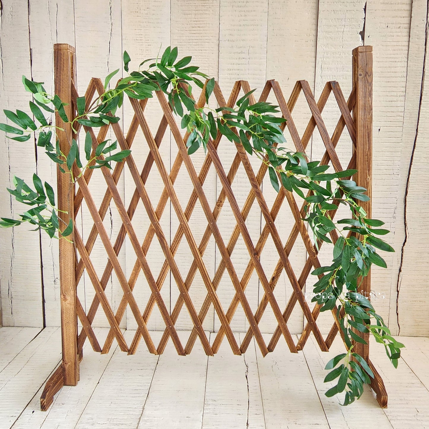 Bamboo Creeper