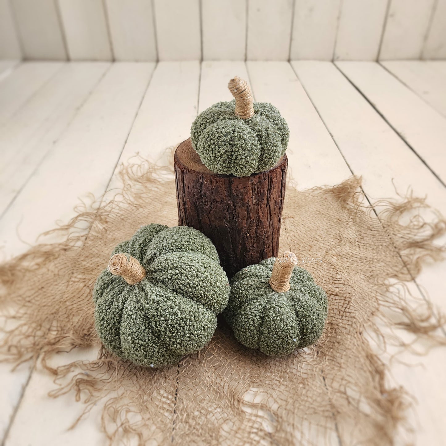 Pumpkin Set Of Three