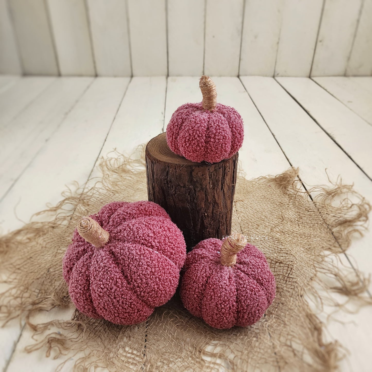 Pumpkin Set Of Three