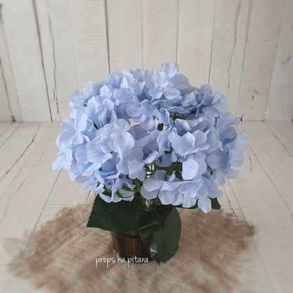 Hydrangea Bunch