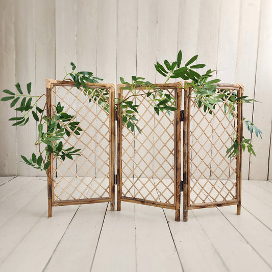 Wicker Trellis Divider