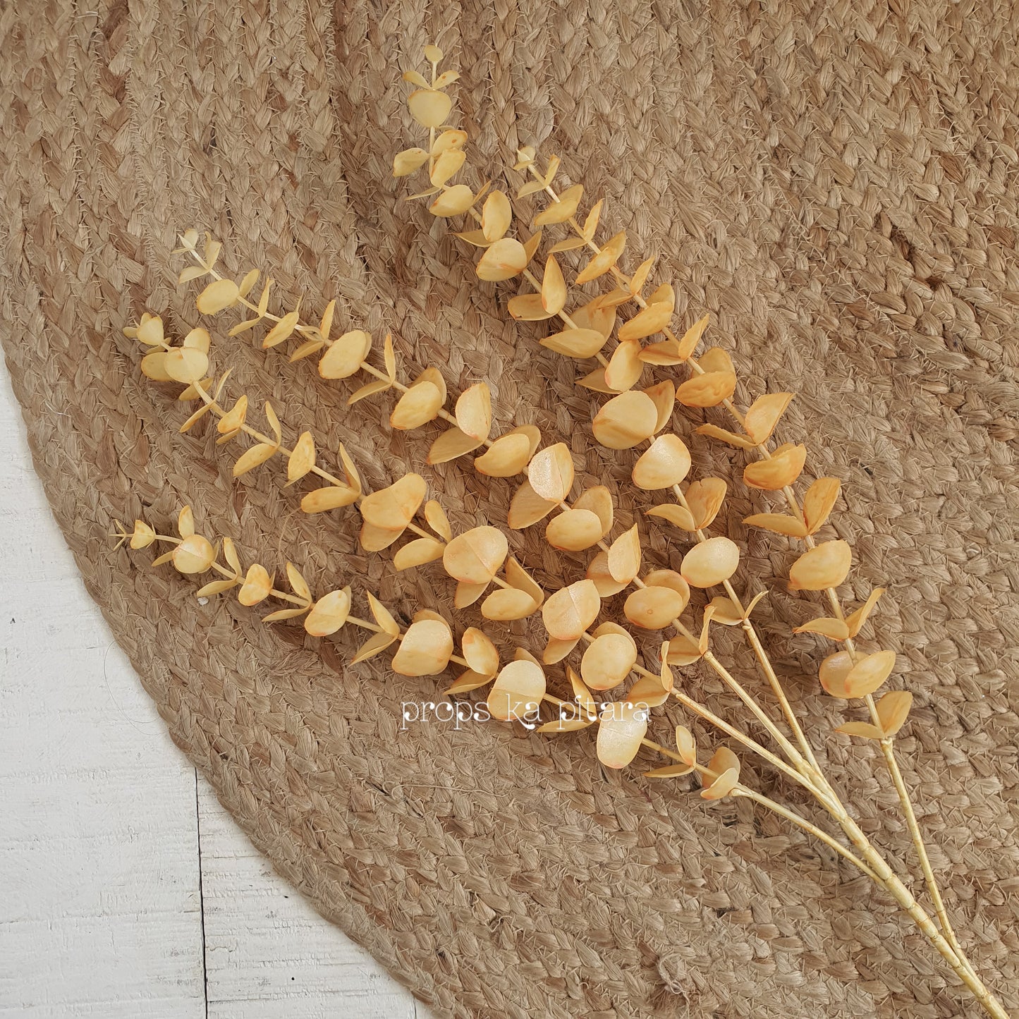 Eucalyptus Pearl Stem