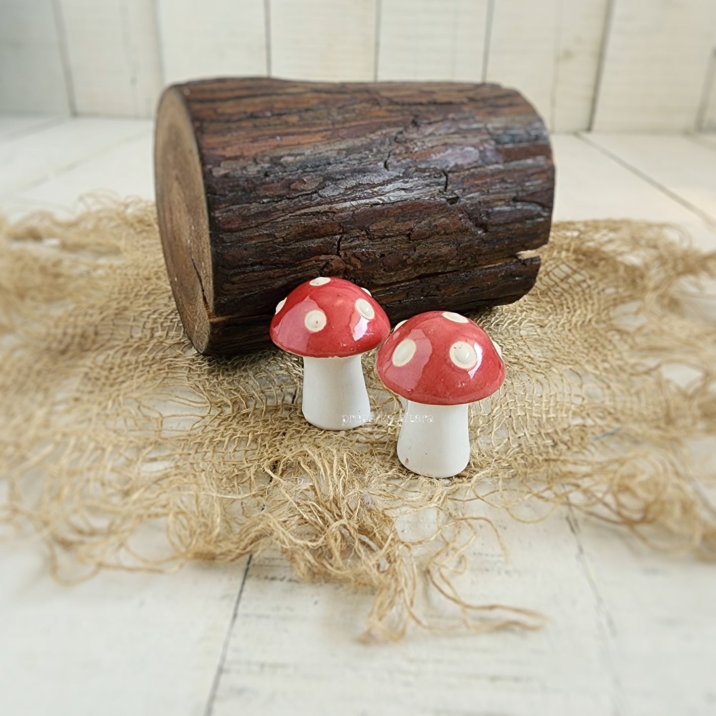 Mini Mushrooms Set Of Two