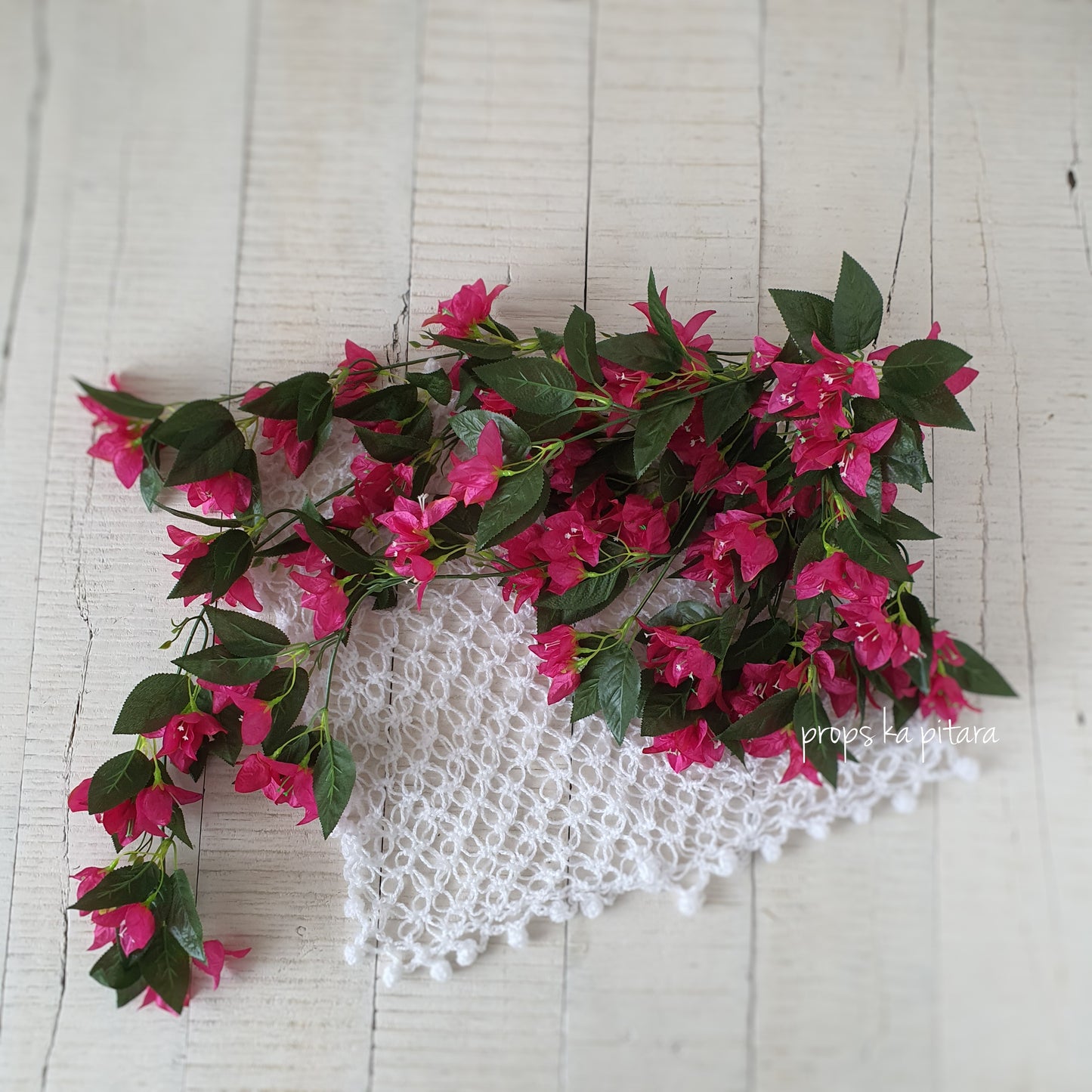 Bougainvillea Bush