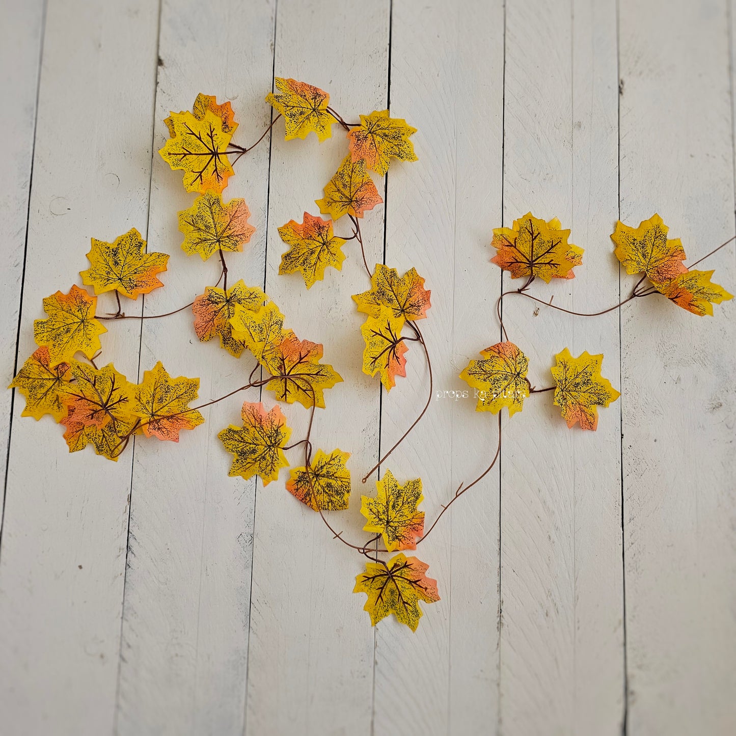 Maple Leaf Vine