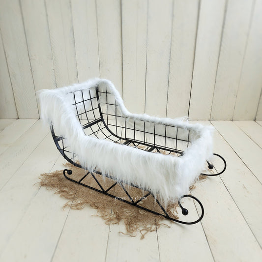 Snow Sledge