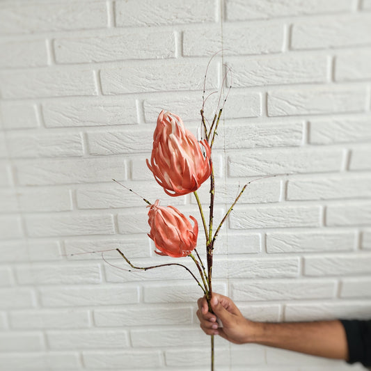 Dragon Fruit Flower