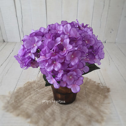 Hydrangea Bunch