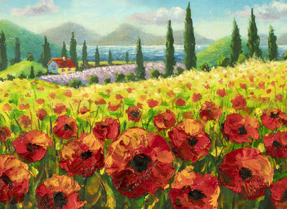 Red poppy Fields