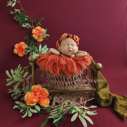 Package- Pkp002 (5 Setups)