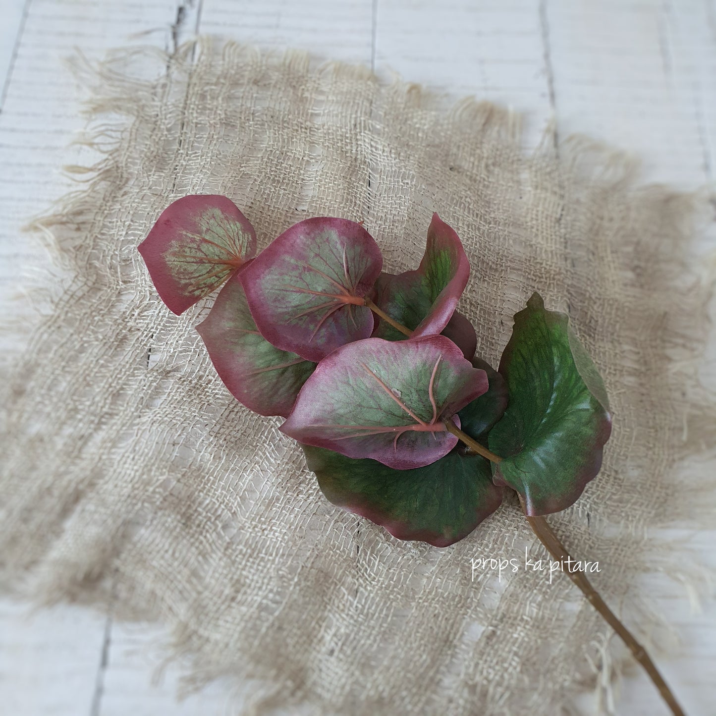 Lotus Leaf Stem