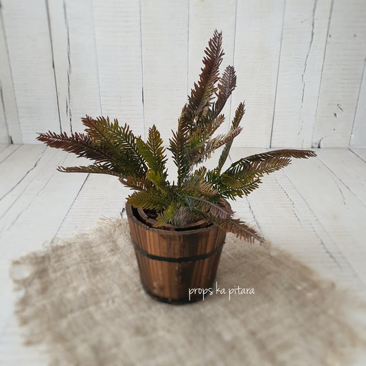 Rustic Bush