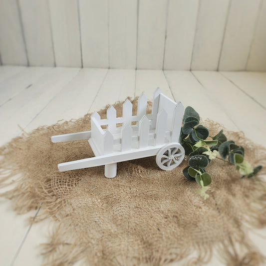 Mini Flower cart