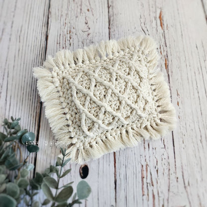 Woven Fringe Pillow