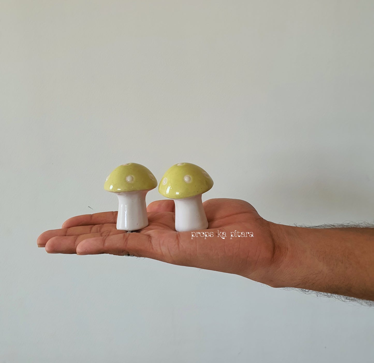 Mini Mushrooms Set Of Two