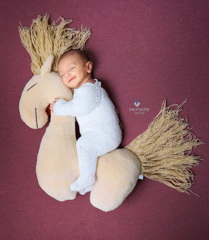 Horse Pillow