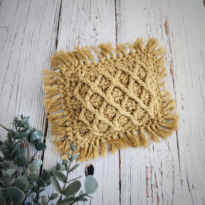 Woven Fringe Pillow